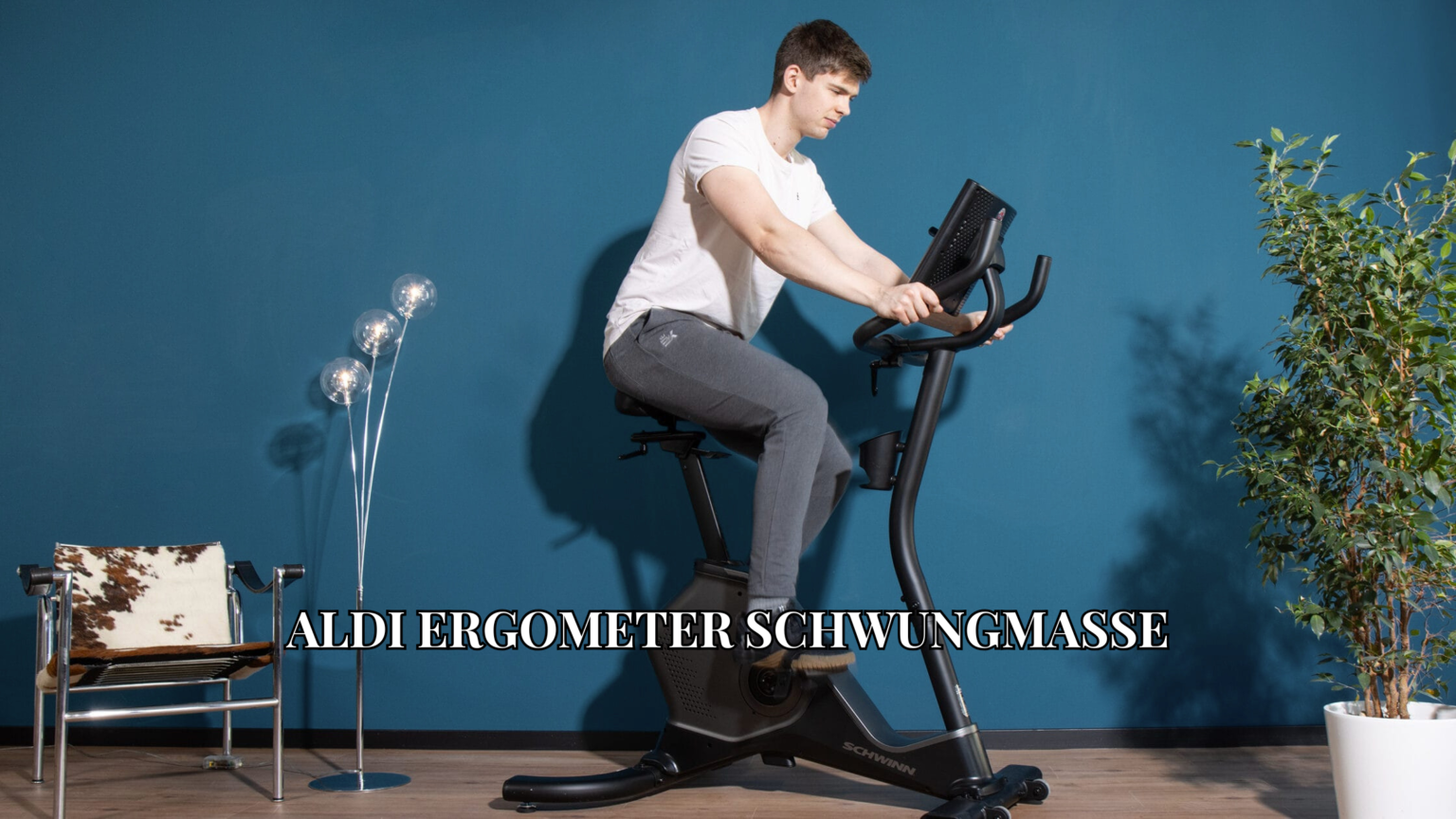 Aldi Ergometer Schwungmasse Bedeutung Technik und Kaufwissen für Heimtrainer markus söder eltern herkunft